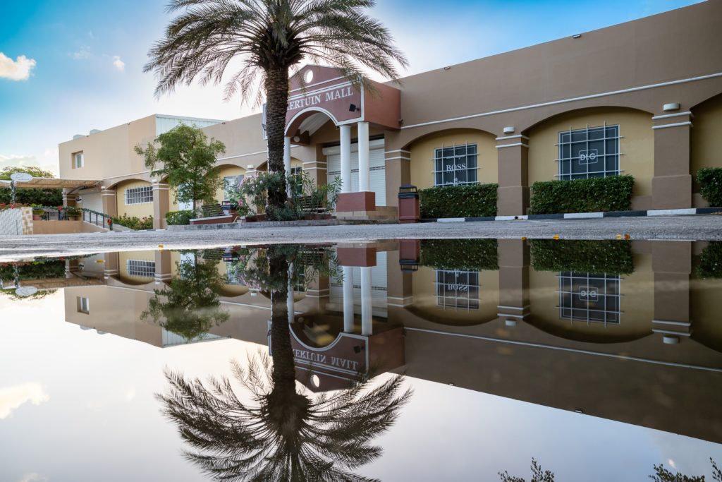 The natural beauty of Zuikertuintje…#zuikertuintje #zuikertuinmall #beauty #photography #curacao #willemstad #fotografia #photo #photooftheday