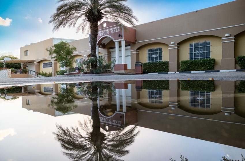  The natural beauty of Zuikertuintje…#zuikertuintje #zuikertuinmall #beauty #photography #curacao #willemstad #fotografia #photo #photooftheday